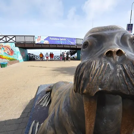 Ambasador ミエルノ