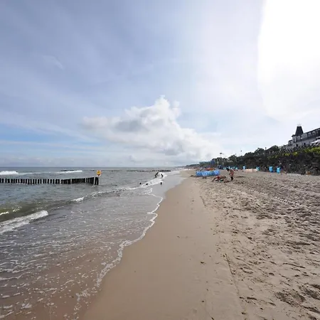 Ambasador * ミエルノ