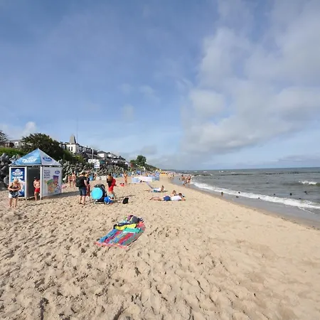 Ambasador ホームステイ