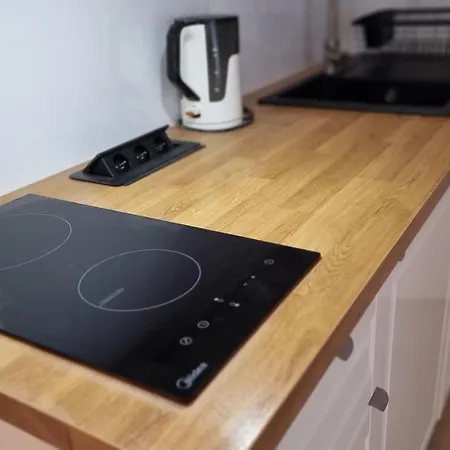 ホームステイ Ambasador