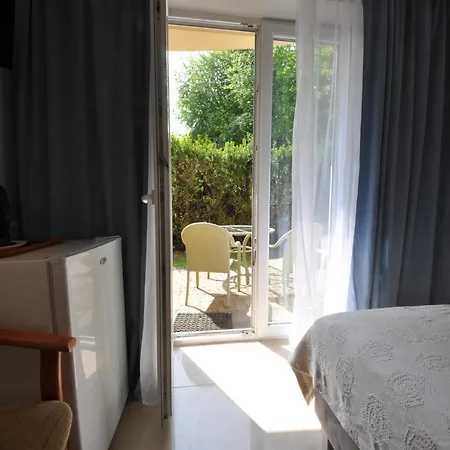 Ambasador ホームステイ